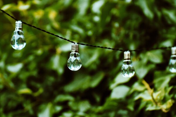 lightbulb-4379275_1280Alexas_Fotos