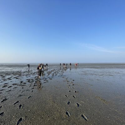 Wattwanderung "Watt im Wandel des Klimas"