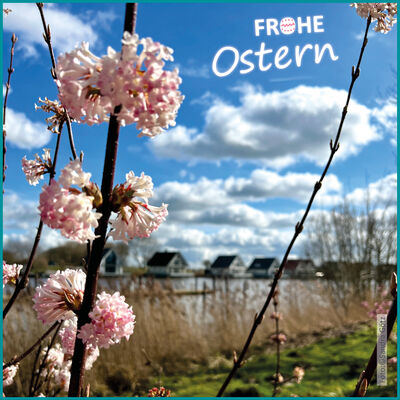 20260324_sch&ouml;ne ostern_website