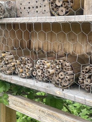 5_Wildbienenhotel